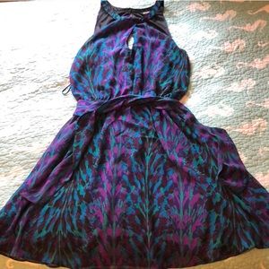 NWT Express Dress